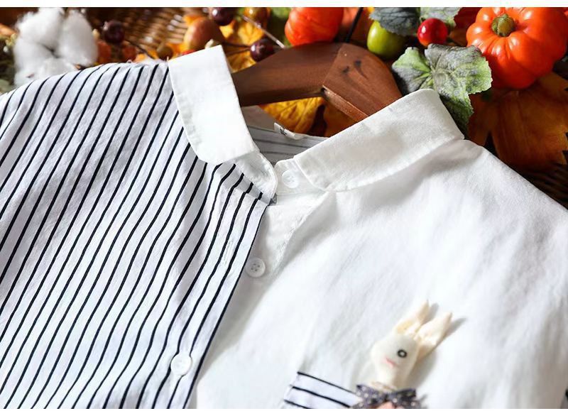 Camicia di Cotone Aria